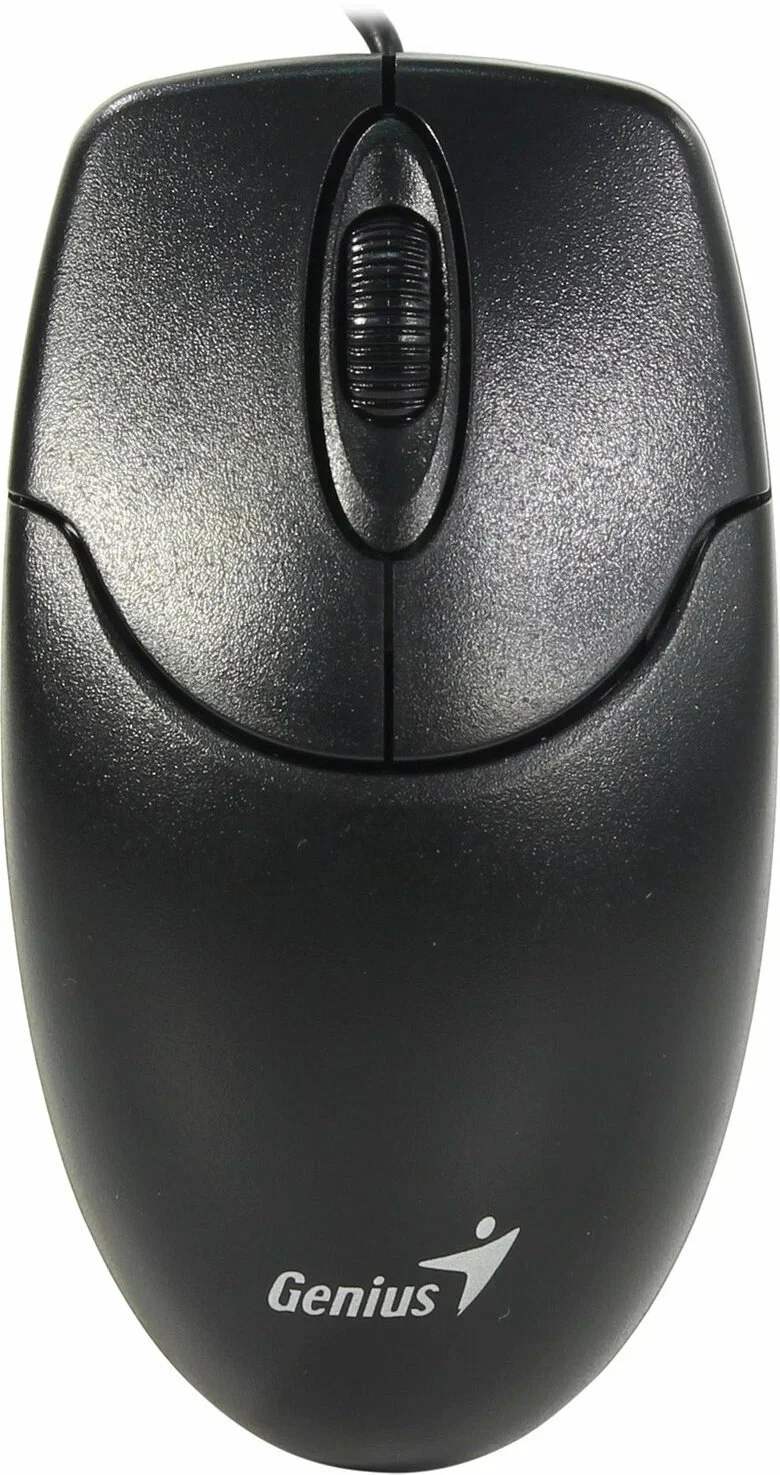 Мышь проводная Genius NetScroll 120 V2 черный, 1000 dpi, USB, кнопки - 3