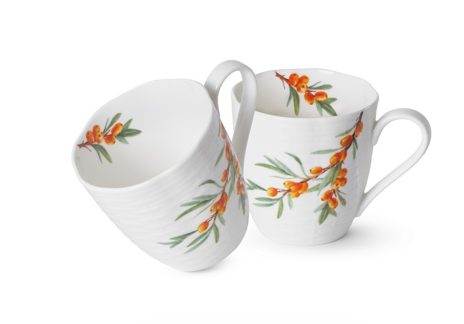 13018 FISSMAN Набор из 2 кружек SEA BUCKTHORN 360 мл (фарфор)