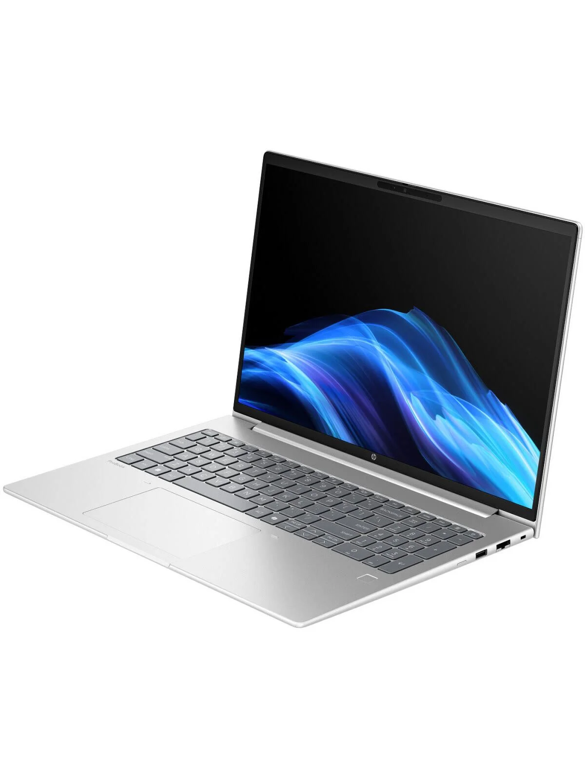 Ноутбук HP ProBook 4 G1a Wolf Pro Ryzen 7 250 16Gb SSD512Gb AMD Radeon Graphics 780M 14" WUXGA (1920x1200) Windows 11 Pro silver WiFi BT Cam (BM2B2UT)
