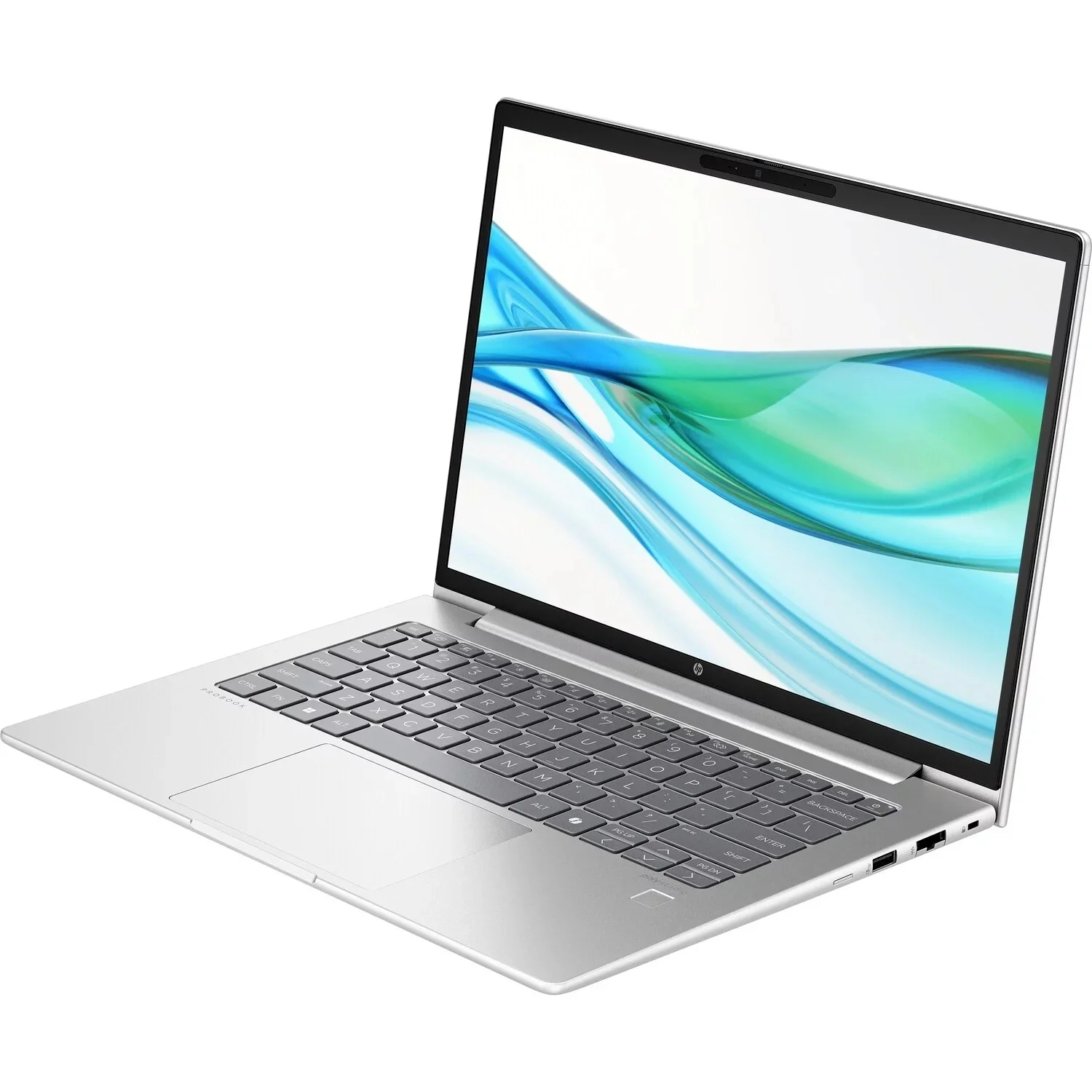 Ноутбук HP ProBook 4 G1a Wolf Pro Ryzen 7 250 16Gb SSD512Gb AMD Radeon Graphics 780M 14" WUXGA (1920x1200) Windows 11 Pro silver WiFi BT Cam (BM2B2UT)
