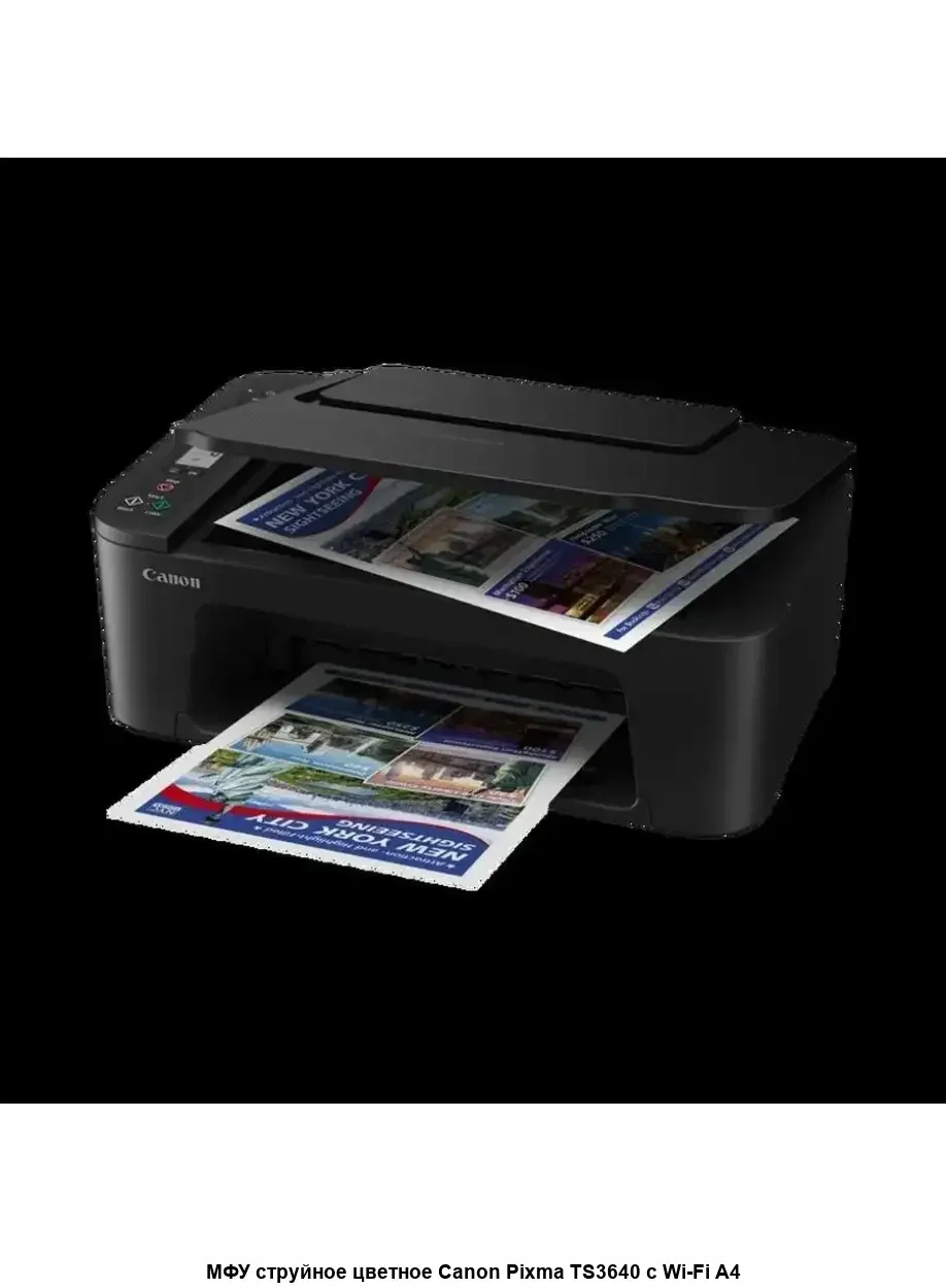 МФУ Canon Pixma TS3640 (6670C007)