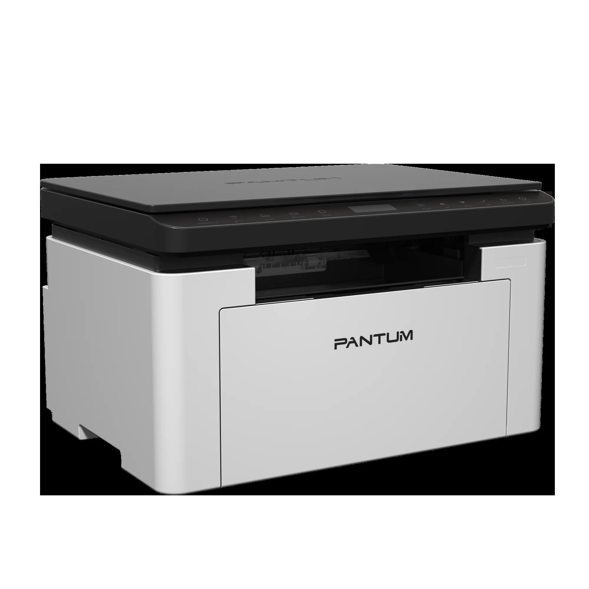 МФУ Pantum BM1800W