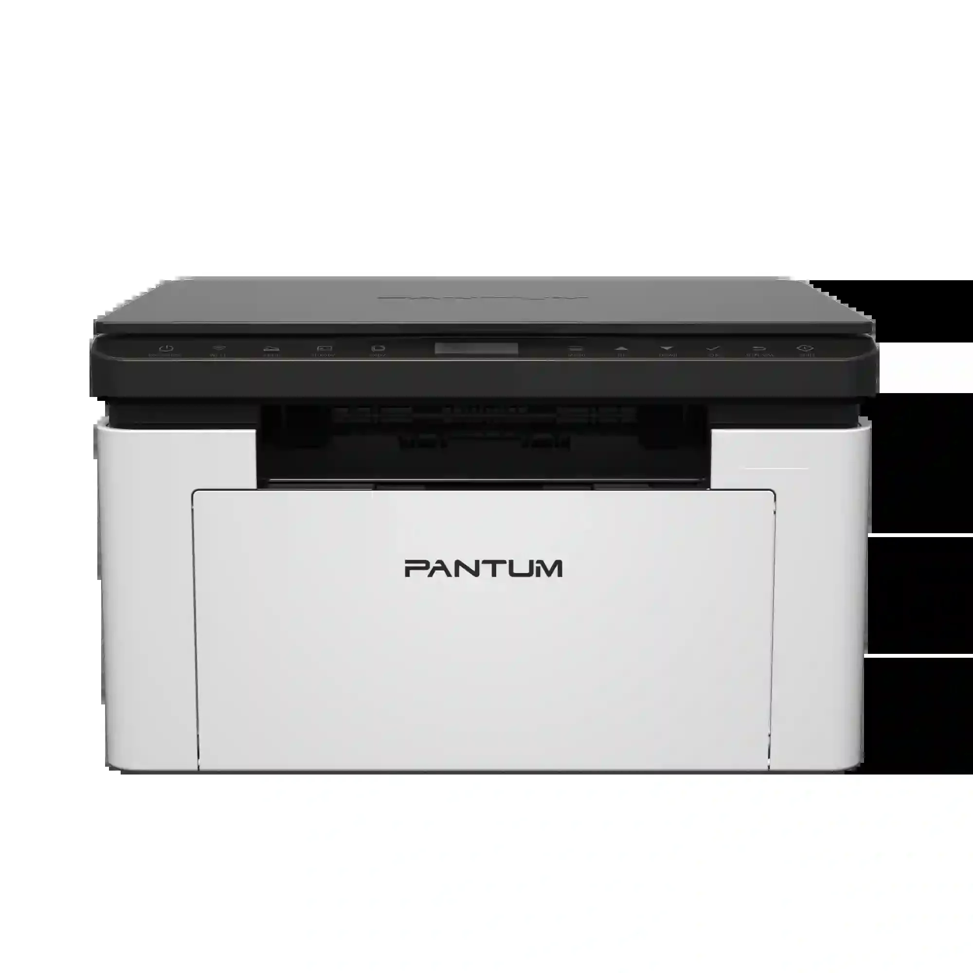 МФУ Pantum BM1800W