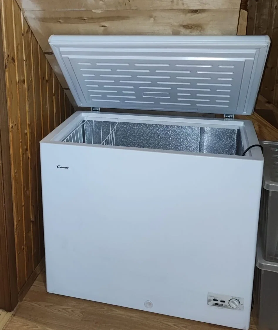 Морозильный ларь Candy CCM251R
