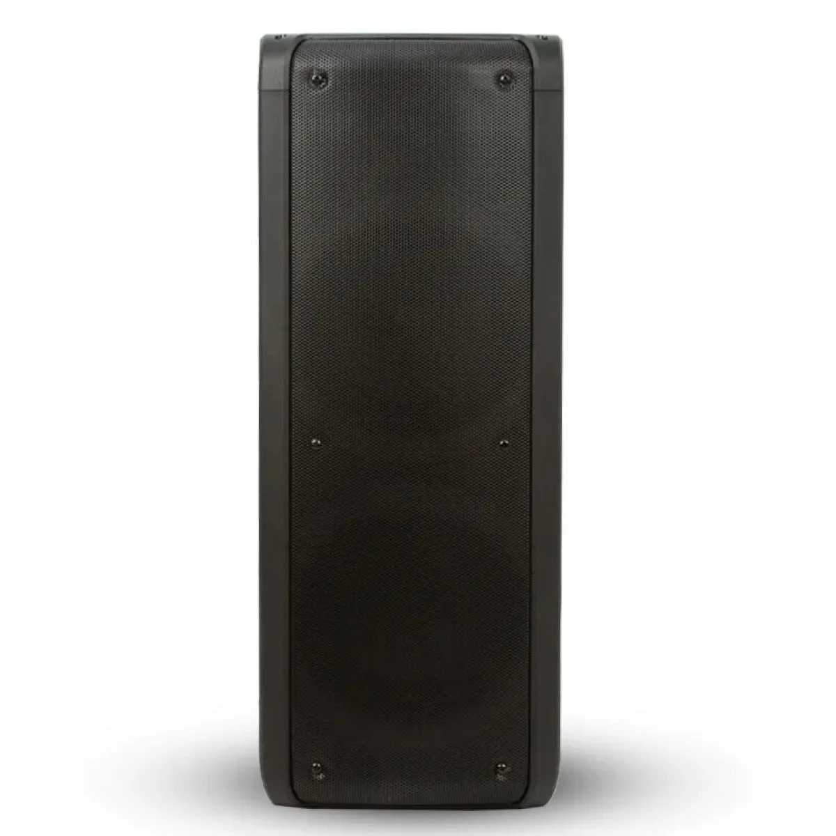 Колонка Eltronic 06" динамик 2шт/6.5" с TWS 120 Вт черный