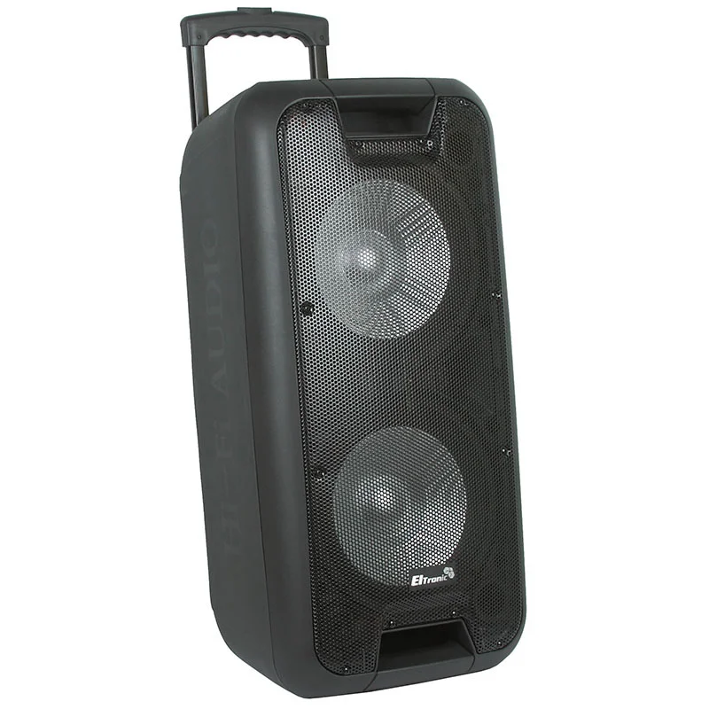 Колонка Eltronic 10" динамик 2шт/10" с TWS 100 Вт черный