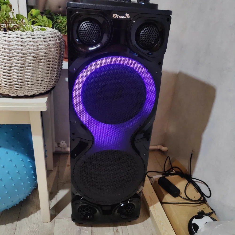 Колонка Eltronic 12" (30-41 CRAZY BOX) динамик 2шт/12" с TWS