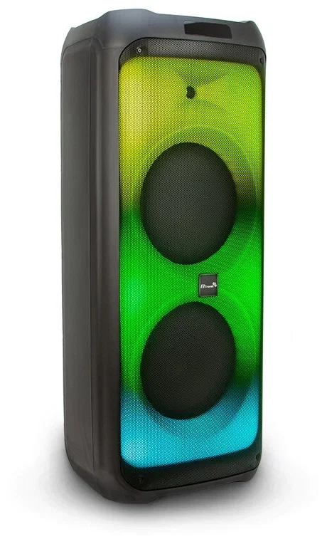 Колонка Eltronic 12" динамик 2шт/12" с TWS черный
