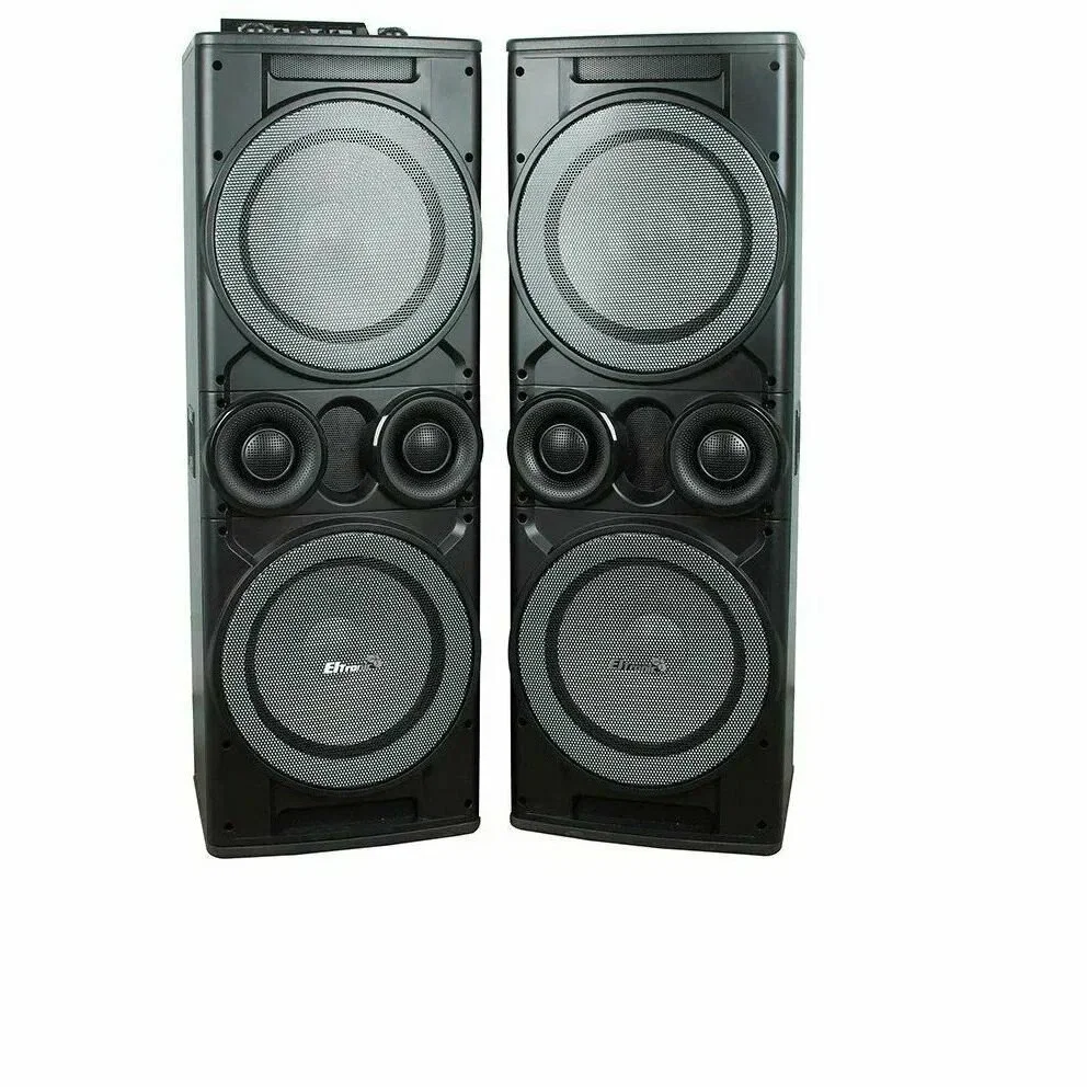 Колонка Eltronic 12" динамик 2шт/12" с TWS черный