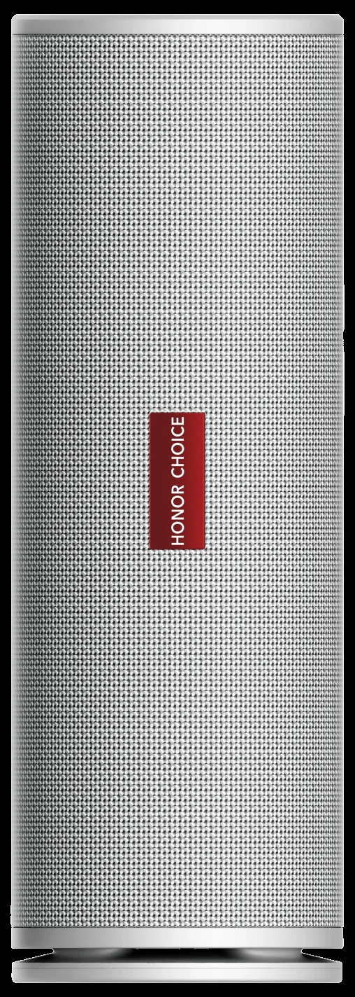 Беспроводная колонка Honor CHOICE Speaker PRO (5504AAVN) VNC-ME00, WHITE