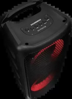 Портативные аудиосистемы SOUNDMAX SM-PS5070B (черный)