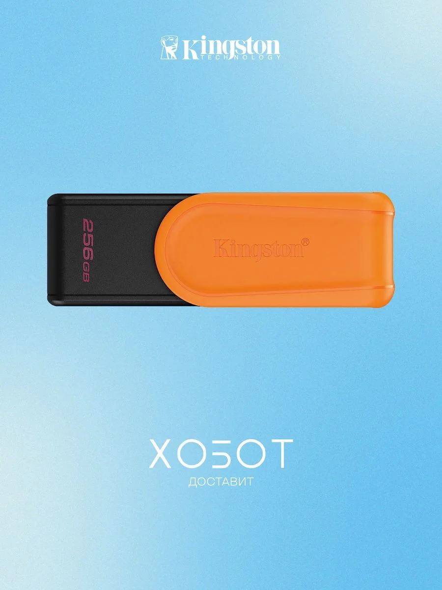 Флеш накопитель 256GB Kingston DataTraveler Exodia S, USB 3.2 Черный/оранжевый
