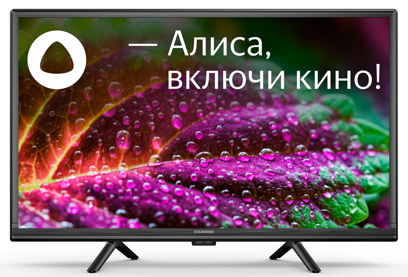 Телевизор LED 24" Starwind SW-LED24SG304 Smart Яндекс.ТВ Slim Design черный/черный/HD/DVB-T/60Hz/DVB