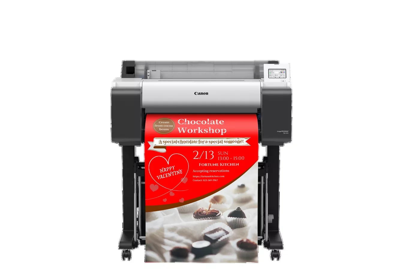 Плоттер струйный Canon iPF TM-255 (6238C003), A1, 24", цветное, 2400x1200 dpi, USB, Gigabit Ethernet, WiFi