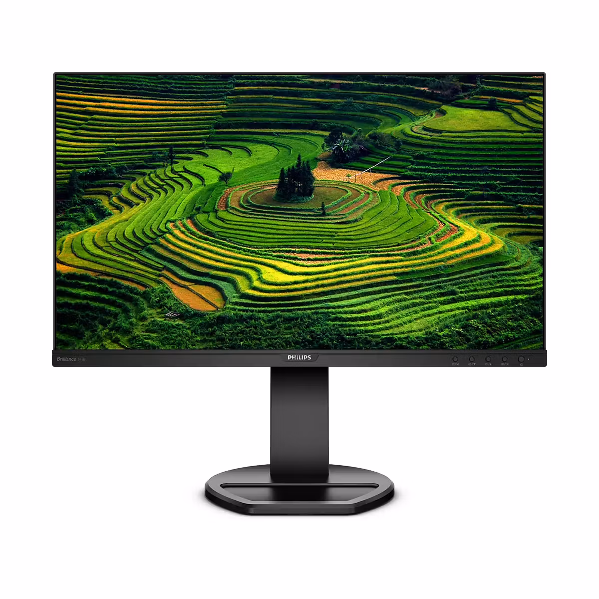 Монитор 23.8" Philips 241B8QJEB (00/01) IPS 1920x1080, 75 Гц, 5 мс, 16:9, 250 кд/м2, 1xHDMI, 1xDP, 1xDVI, 1xVGA, 4xUSB, 1x3.5 мм, черный
