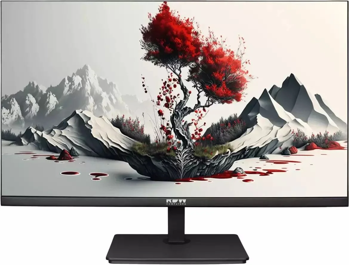 Монитор 23.8" RDW COMPUTERS 2401K IPS 1920x1080, 100 Гц, 4 мс, 16:9, 300 кд/м2, 1xHDMI, 1хDP, 1xVGA, черный