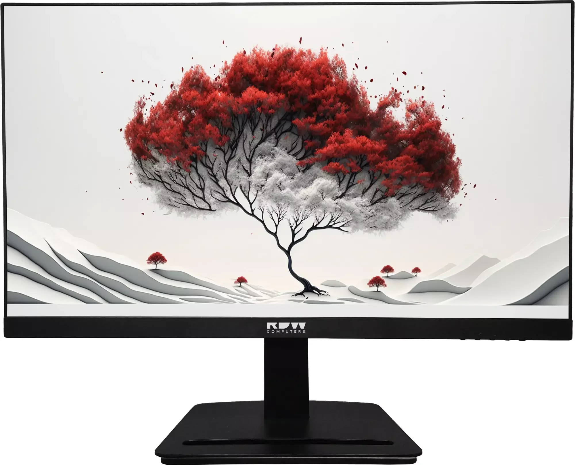Монитор 23.8" RDW Computers RDW2401K черный IPS 4ms HDMI M/M HAS Piv 350cd 178гр/178гр 1920x1080 VGA DP FHD USB (RUS)