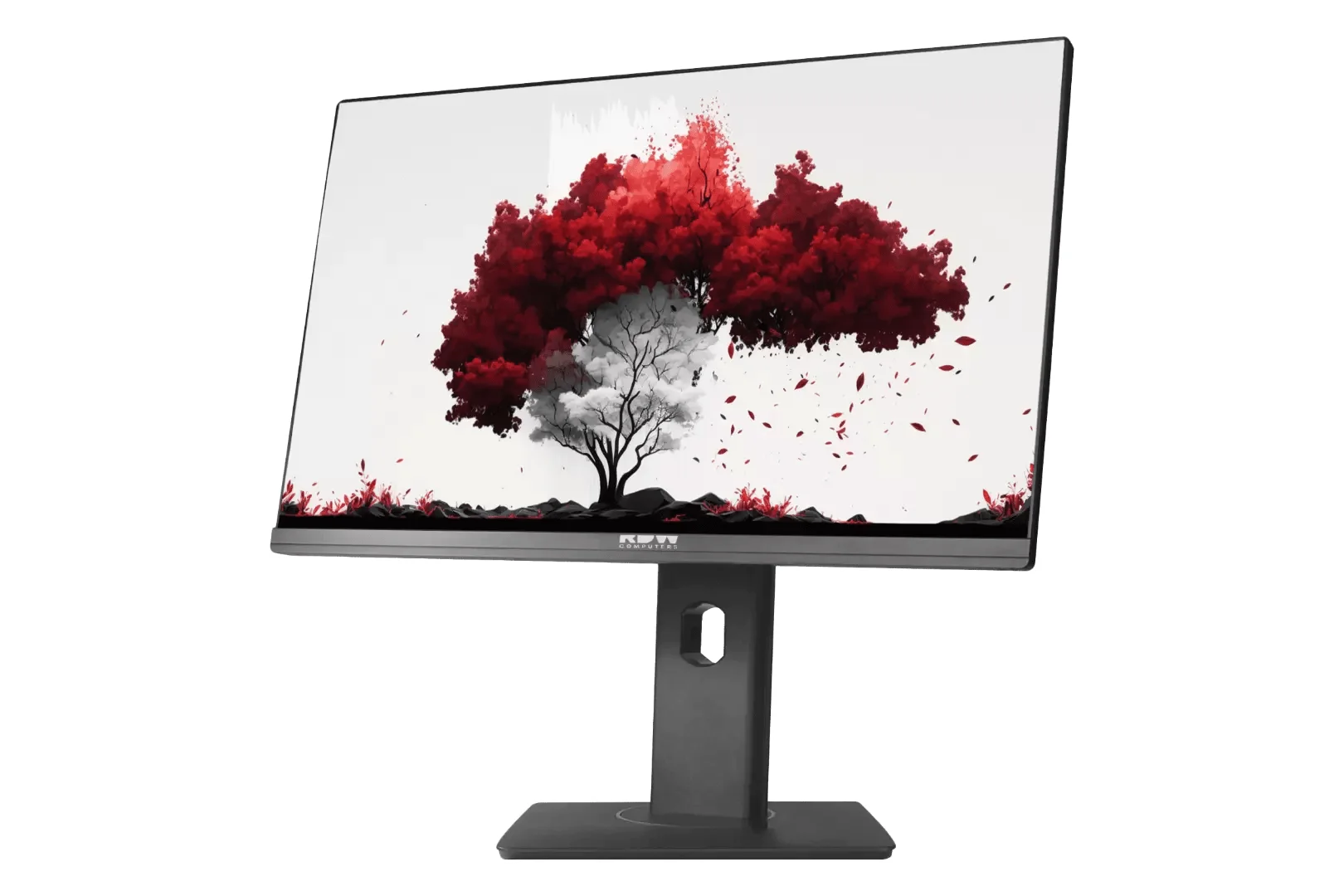 Монитор 23.8" RDW Computers RDW2402K IPS 1920x1080, 100 Гц, 4 мс, 16:9, 300 кд/м², VGA, HDMI 1.4, DP 1.2, USB-C, 3.5 Jack, USB Hub (2x USB 3.2), динам