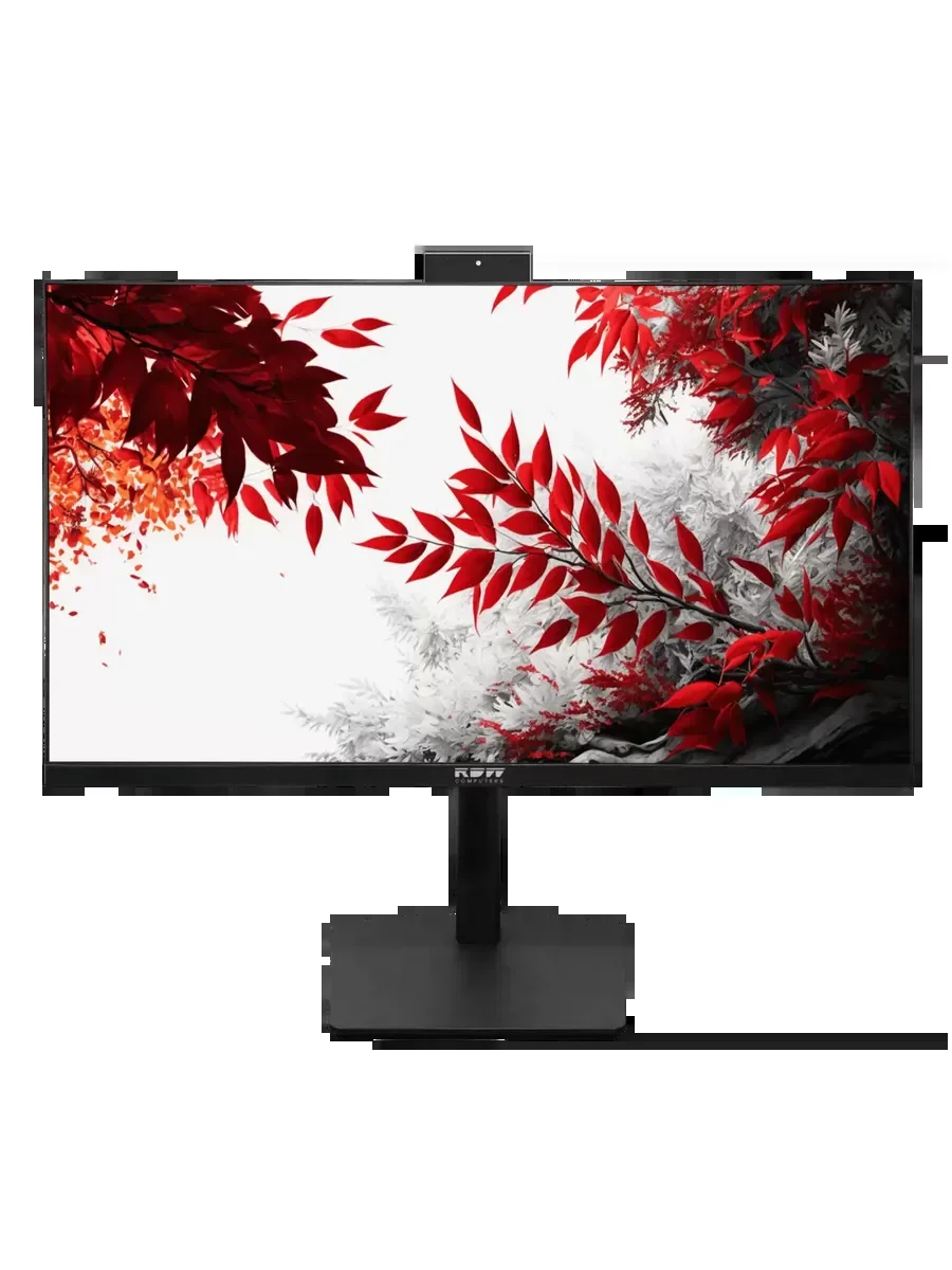Монитор 23.8" RDW Computers RDW2402K IPS 1920x1080, 100 Гц, 4 мс, 16:9, 300 кд/м², VGA, HDMI 1.4, DP 1.2, USB-C, 3.5 Jack, USB Hub (2x USB 3.2), динам