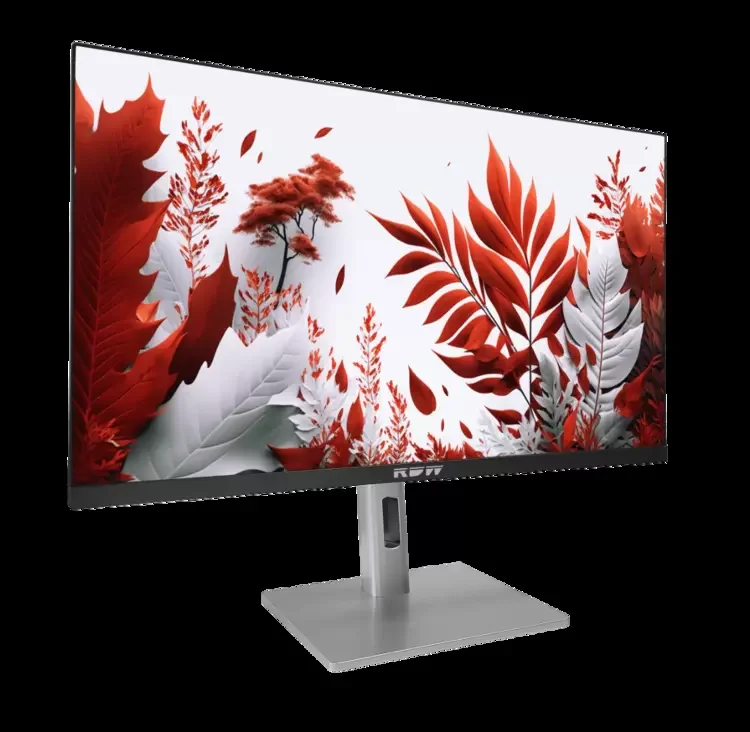 Монитор 23.8" RDW Computers RDW2407 IPS 1920x1080, 120 Гц, 1 мс (MPRT), 16:9, 300 кд/м², VGA, HDMI, DP, USB-C, USB Hub, 3.5 Jack, динамики, HDR10, чер