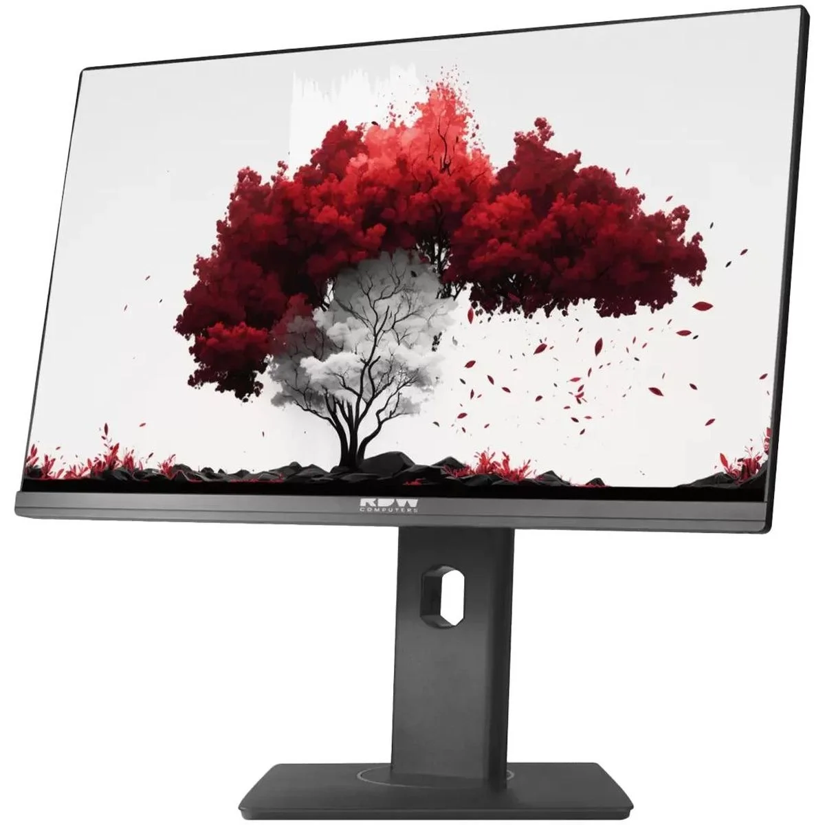 Монитор 23.8" RDW Computers RDW2407 IPS 1920x1080, 120 Гц, 1 мс (MPRT), 16:9, 300 кд/м², VGA, HDMI, DP, USB-C, USB Hub, 3.5 Jack, динамики, HDR10, чер