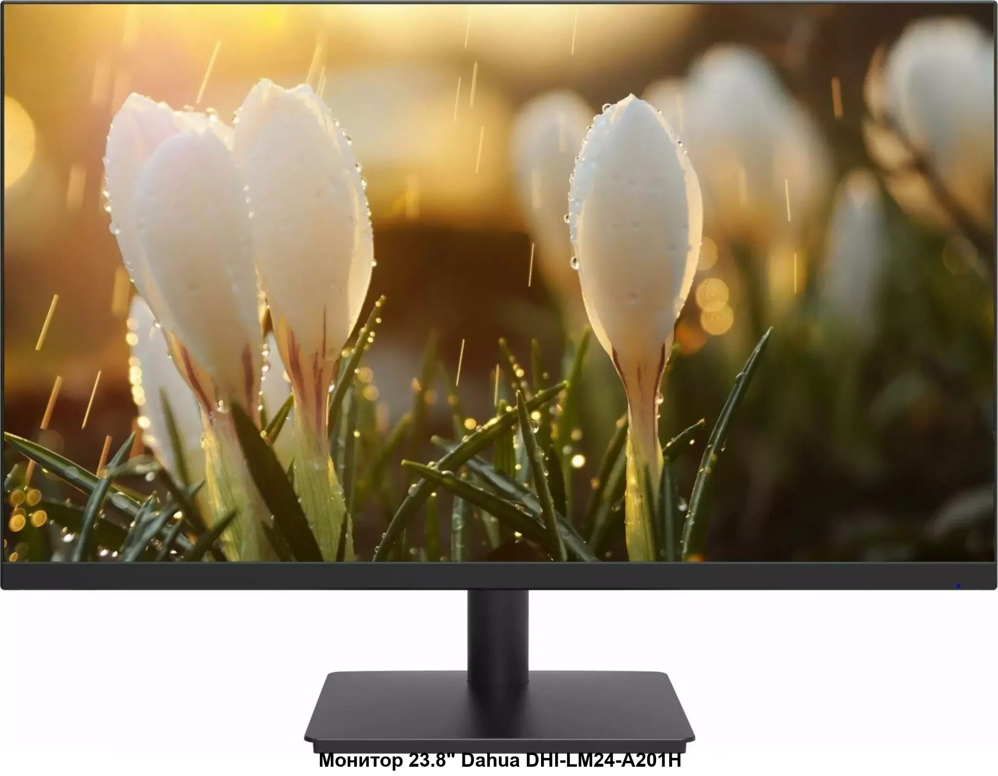 Монитор 27" Dahua DHI-LM27-A201A IPS 1920x1080, 100 Гц, 5 мс, 16:9, 250 кд/м², 1xHDMI, 1xDP, 1xVGA, черный