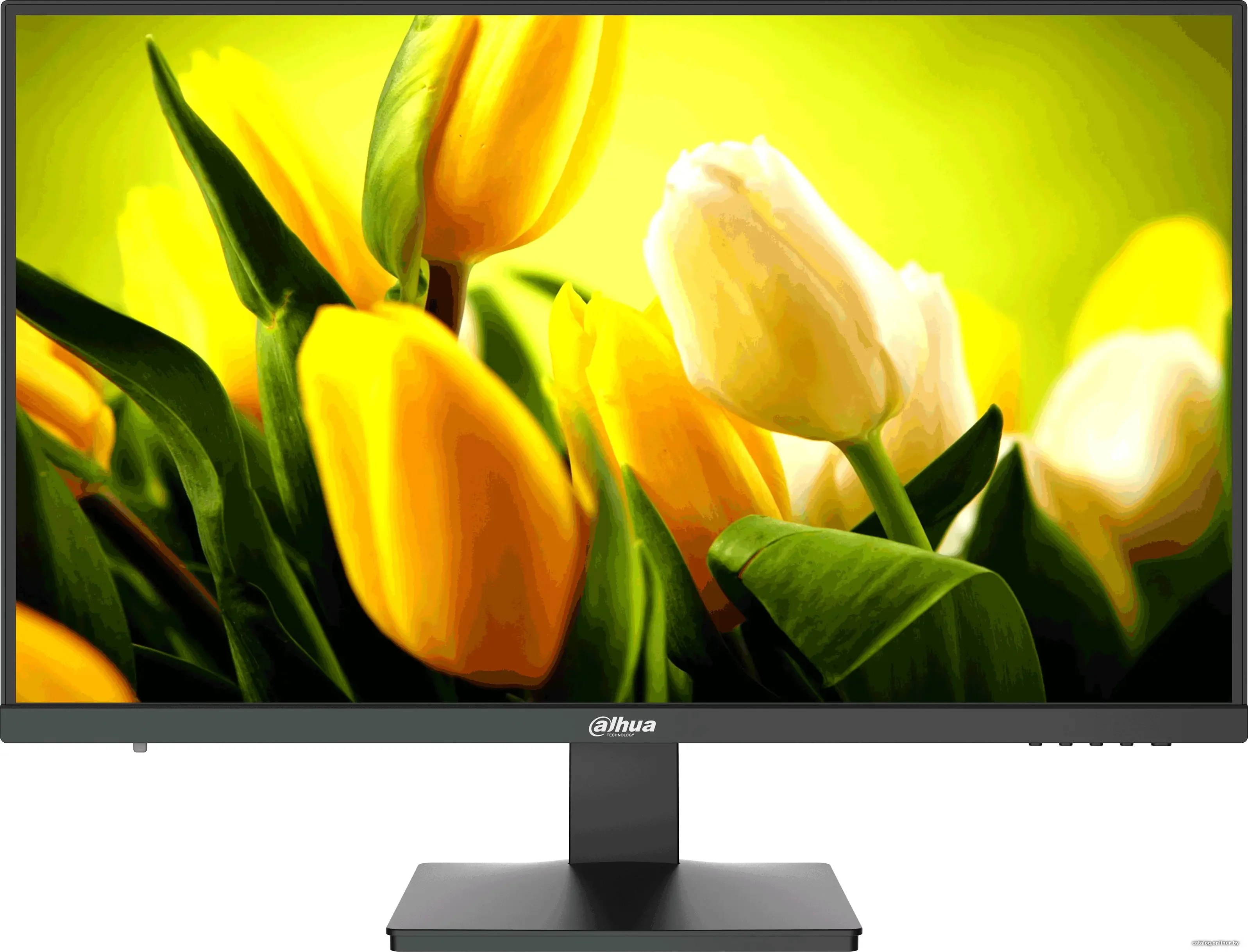 Монитор 27" Dahua DHI-LM27-L200 IPS 1920x1080, 75 Гц, 230 кд/м², 14 мс, 16:9, 1xHDMI, 1xVGA, черный