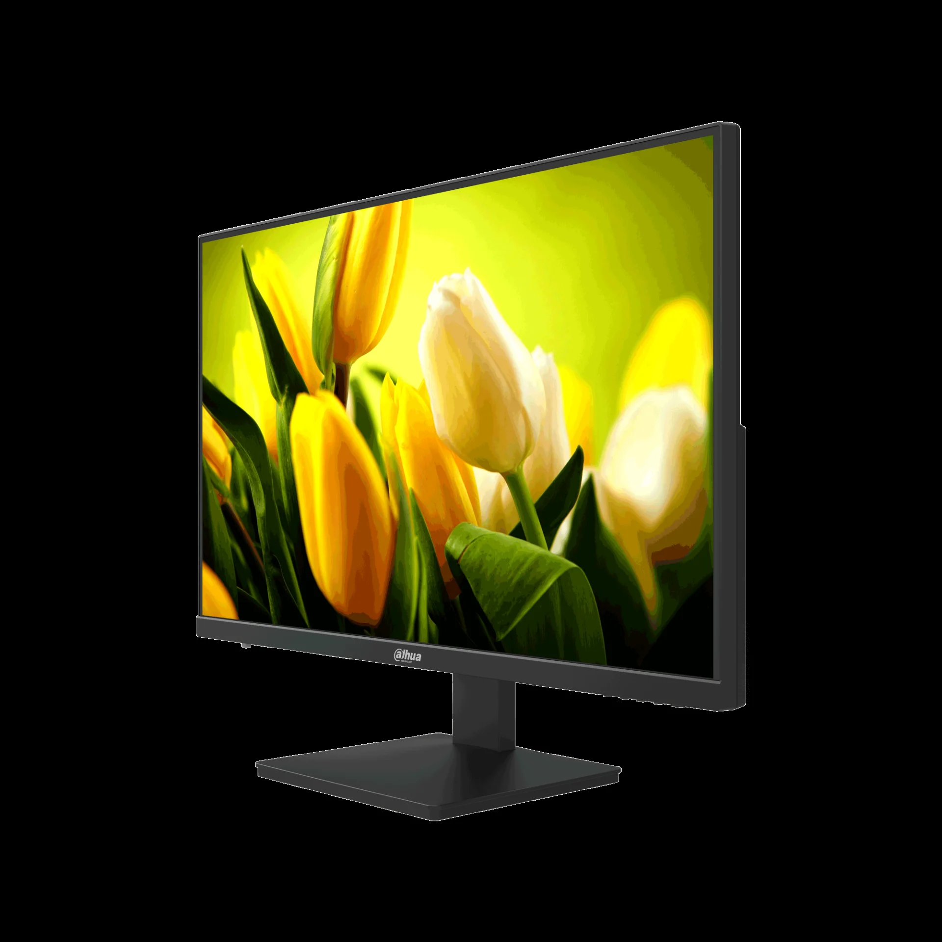 Монитор 27" Dahua DHI-LM27-L200 IPS 1920x1080, 75 Гц, 230 кд/м², 14 мс, 16:9, 1xHDMI, 1xVGA, черный