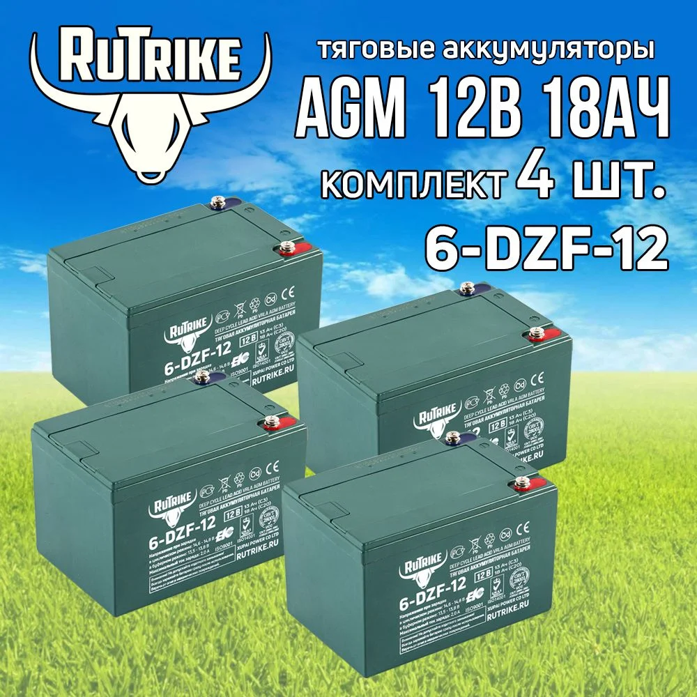 Зарядное устройство для автомобилей Rutrike 6-DZF-12 (12V12A/H C2)