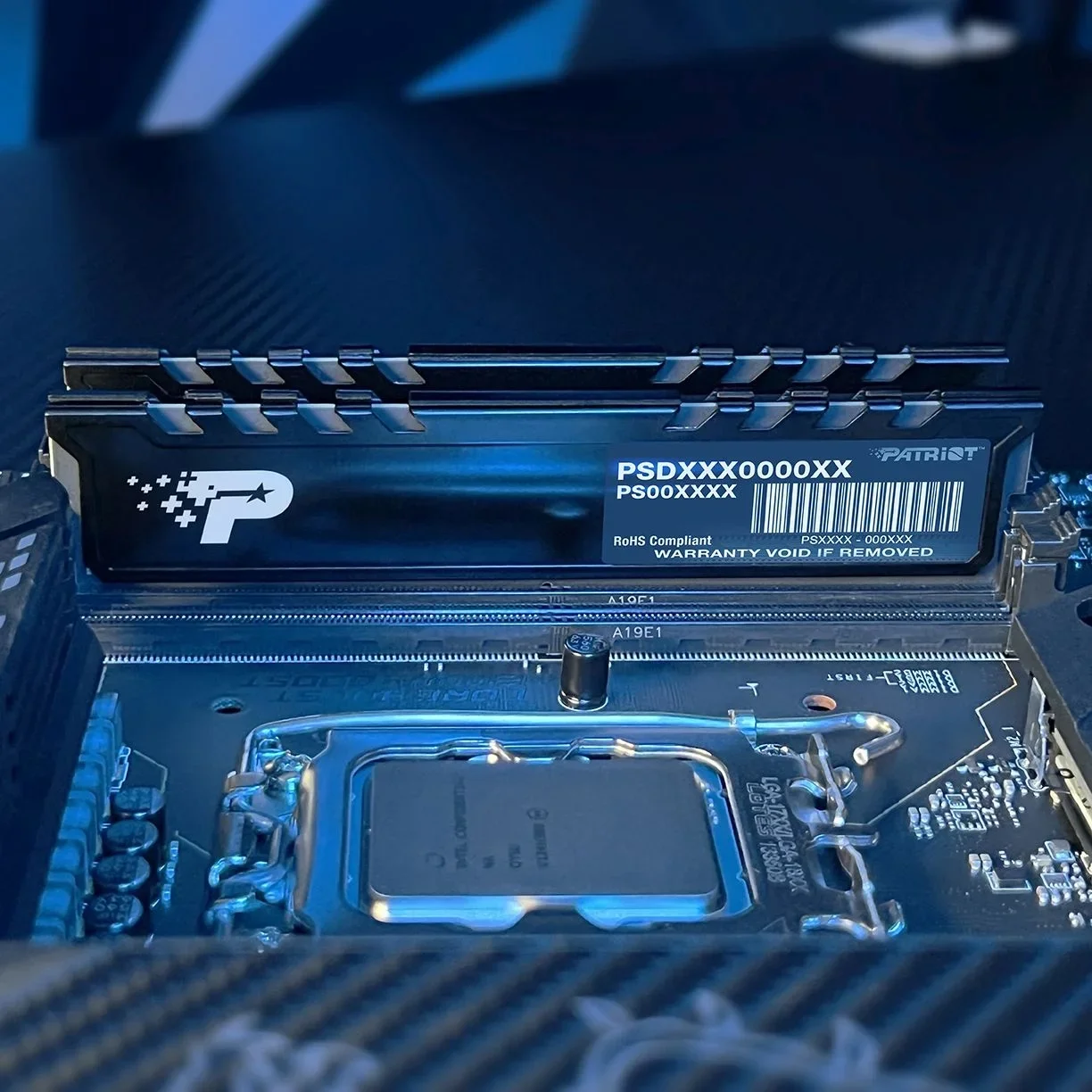 Модуль памяти Patriot 16GB 5600МГц DDR5 CL46 DIMM Signature Premium