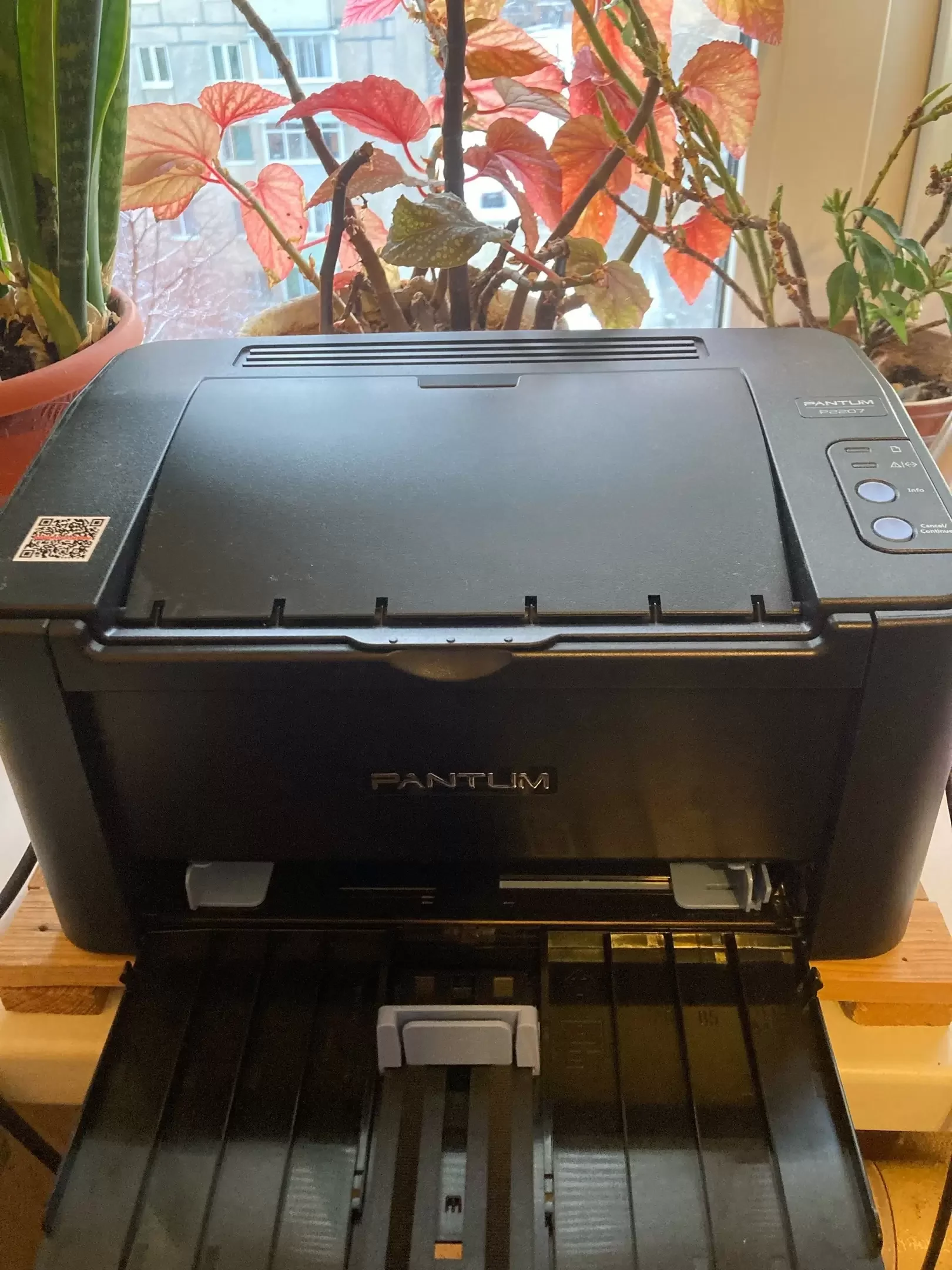 Принтер лазерный Pantum P2207 (черно-белая печать, A4, 20 стр / мин, 128Mb, USB2.0, черный)
