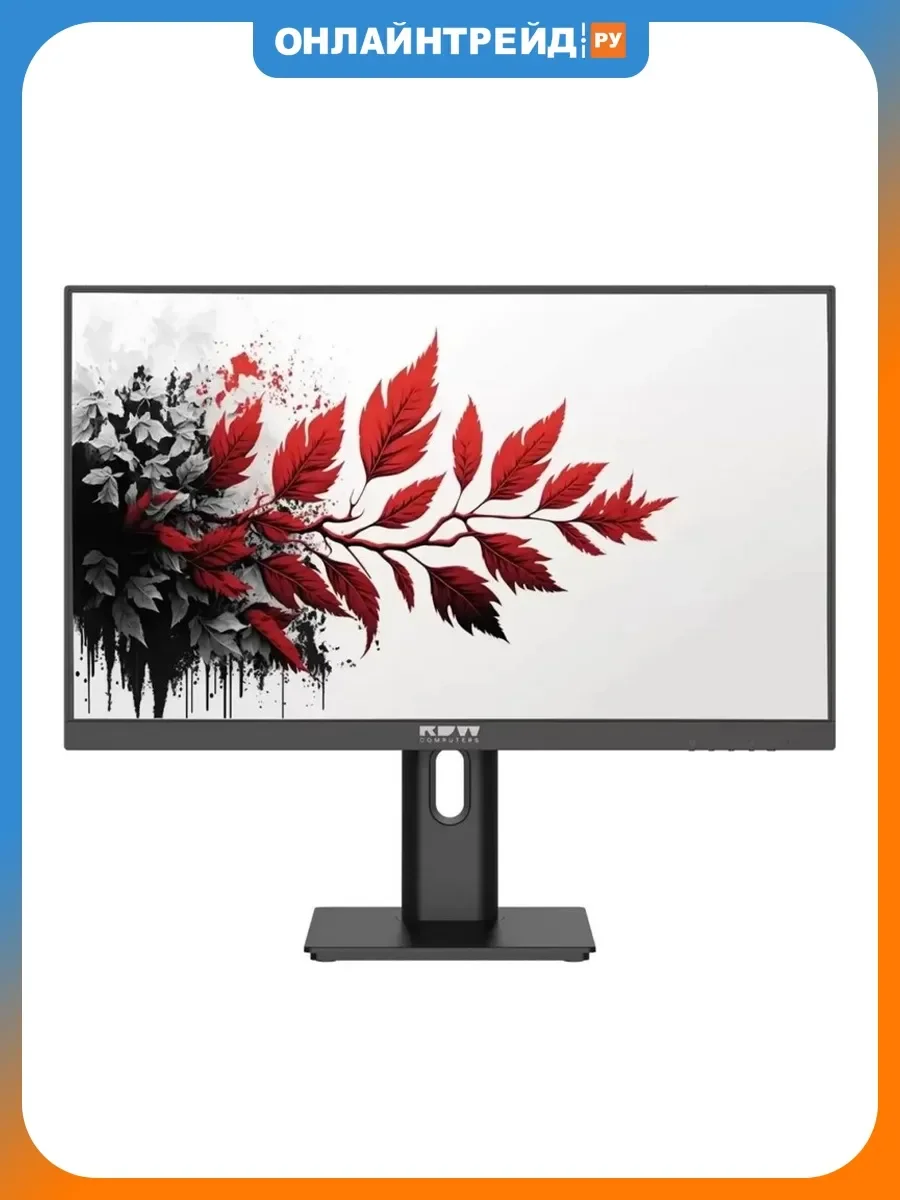 Монитор 27" RDW Computers RDW2702K черный IPS 1ms HDMI M/M Cam матовая HAS Piv 1000:1 350cd 178гр/178гр 2560x1440 100Hz DP QHD USB 1.7кг (RUS)