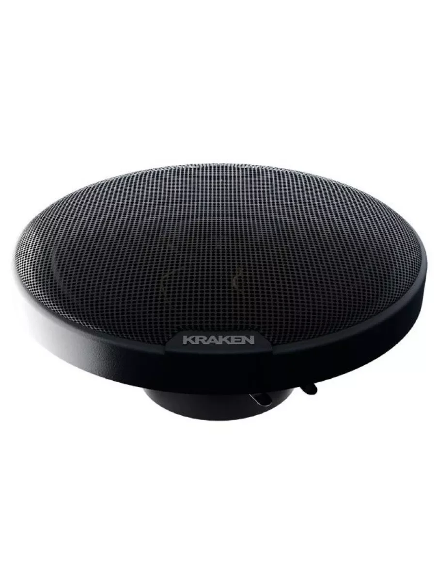 Колонки автомобильные Prology RX-165 160Вт 90дБ 4Ом 16см (6.5дюйм) (ком.:2кол.) коаксиальные двухполосные