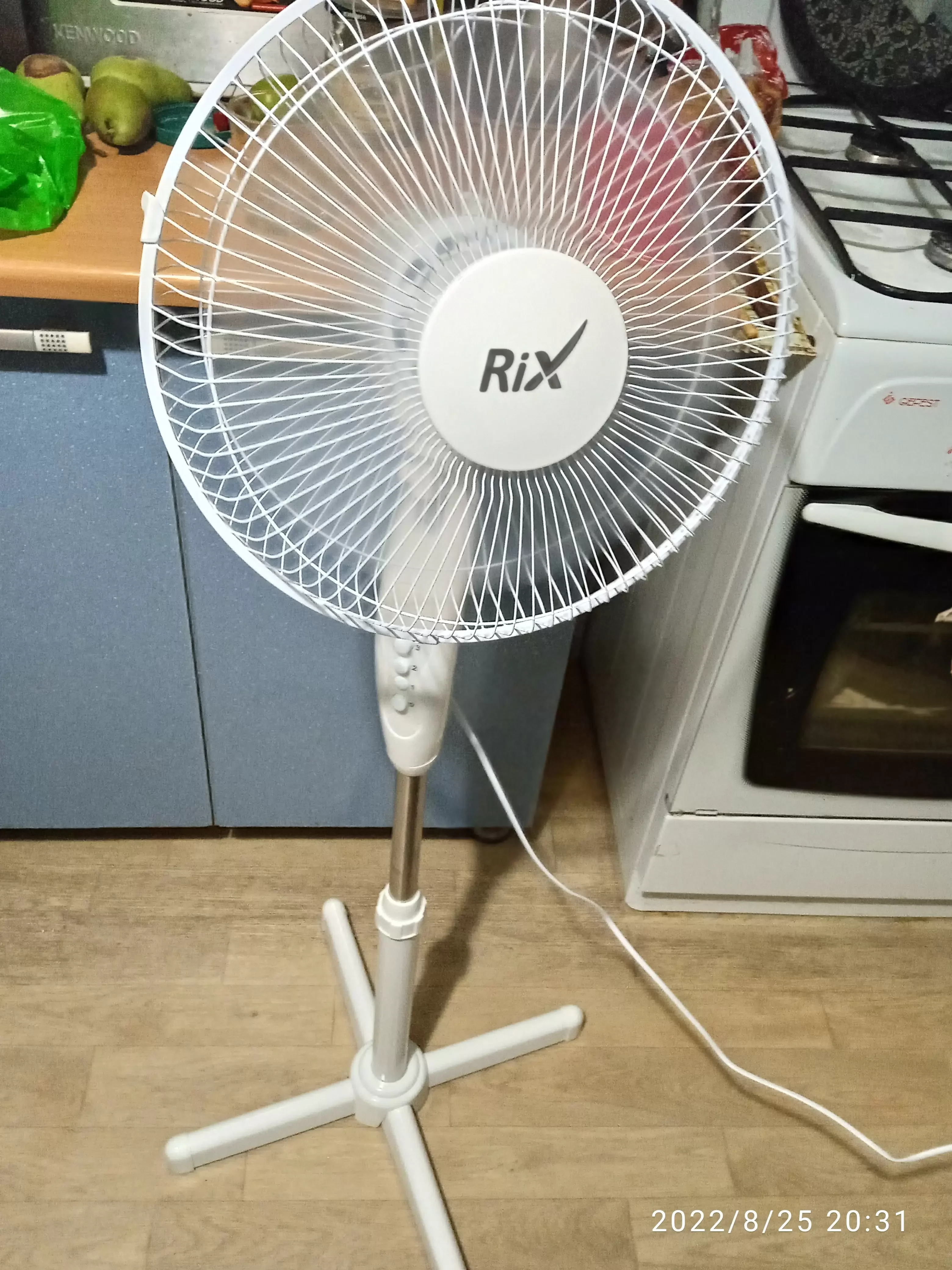 Вентилятор бытовой напольный Rix RSF-3000W
