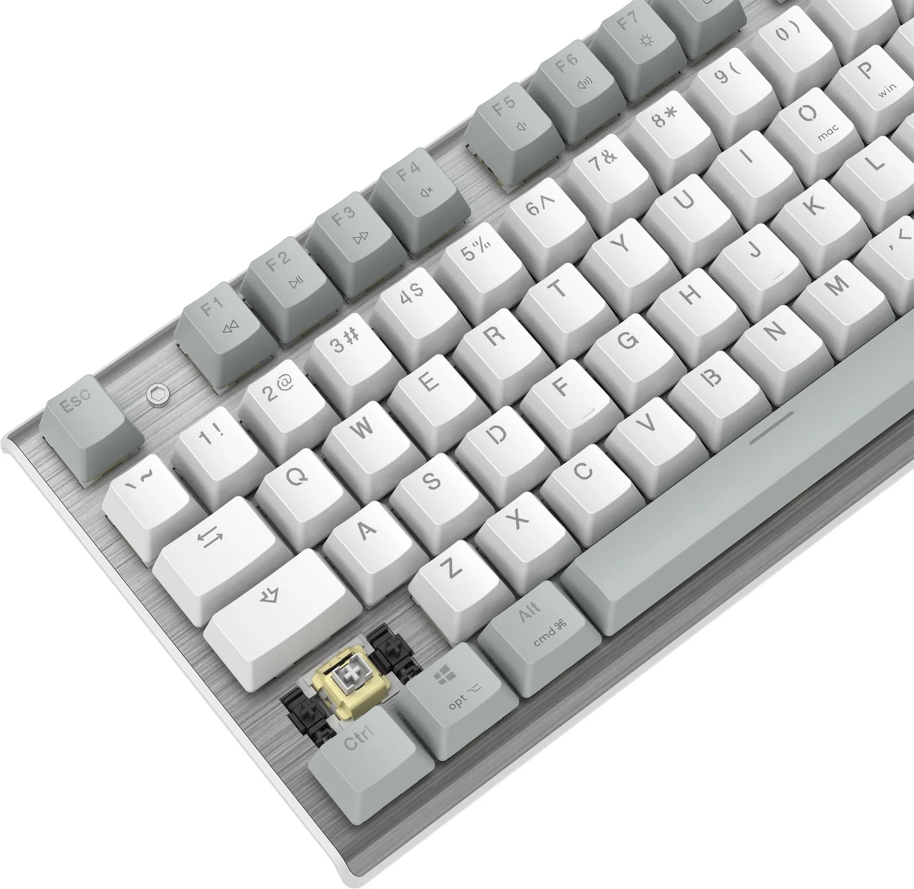Клавиатура проводная A4Tech Fstyler FS100 Neon, USB, синий/белый