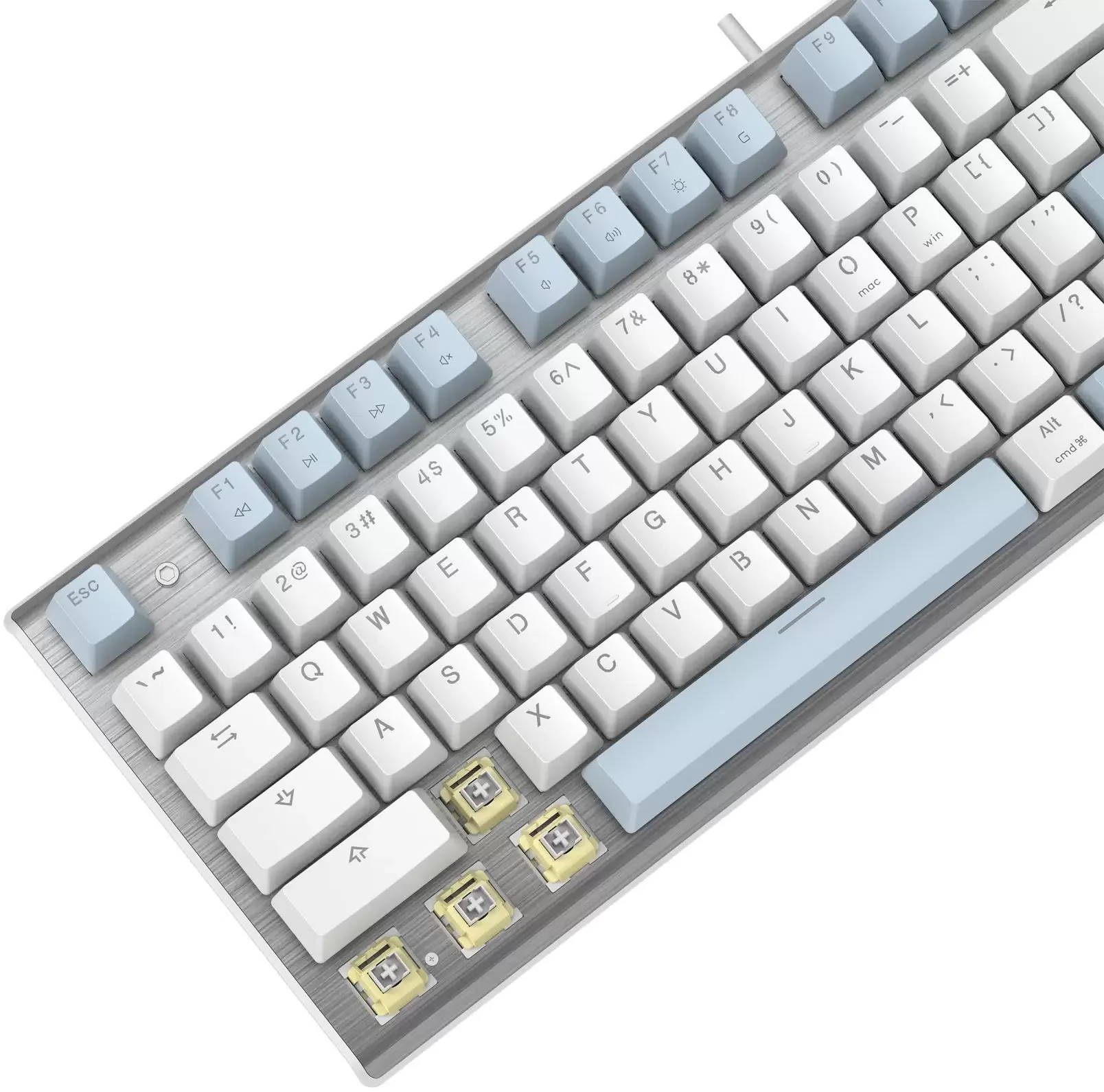 Клавиатура проводная A4Tech Fstyler FS100 Neon, USB, синий/белый