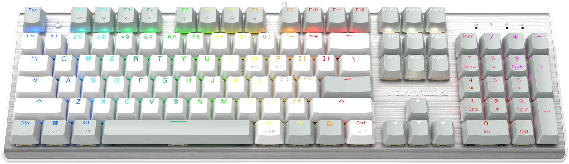 Клавиатура проводная A4Tech Fstyler FS100 Neon, USB, синий/белый