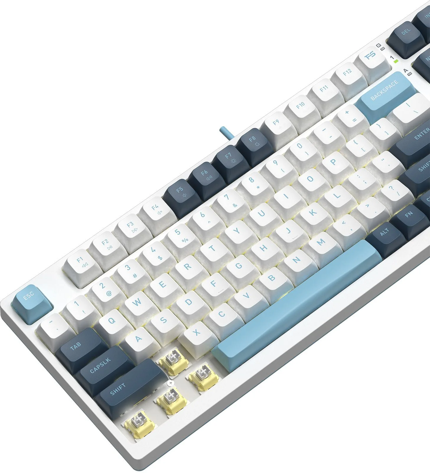 Клавиатура проводная A4Tech Fstyler FS300 (FS300 PANDA SNOWBOARDING), USB, белый/синий