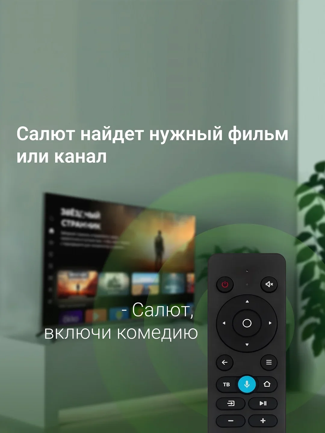 Телевизор LED Digma 43" DM-LED43SBB36 Салют ТВ Frameless Metal черный/черный FULL HD 60Hz DVB-T DVB-T2 DVB-C DVB-S DVB-S2 USB WiFi Smart TV