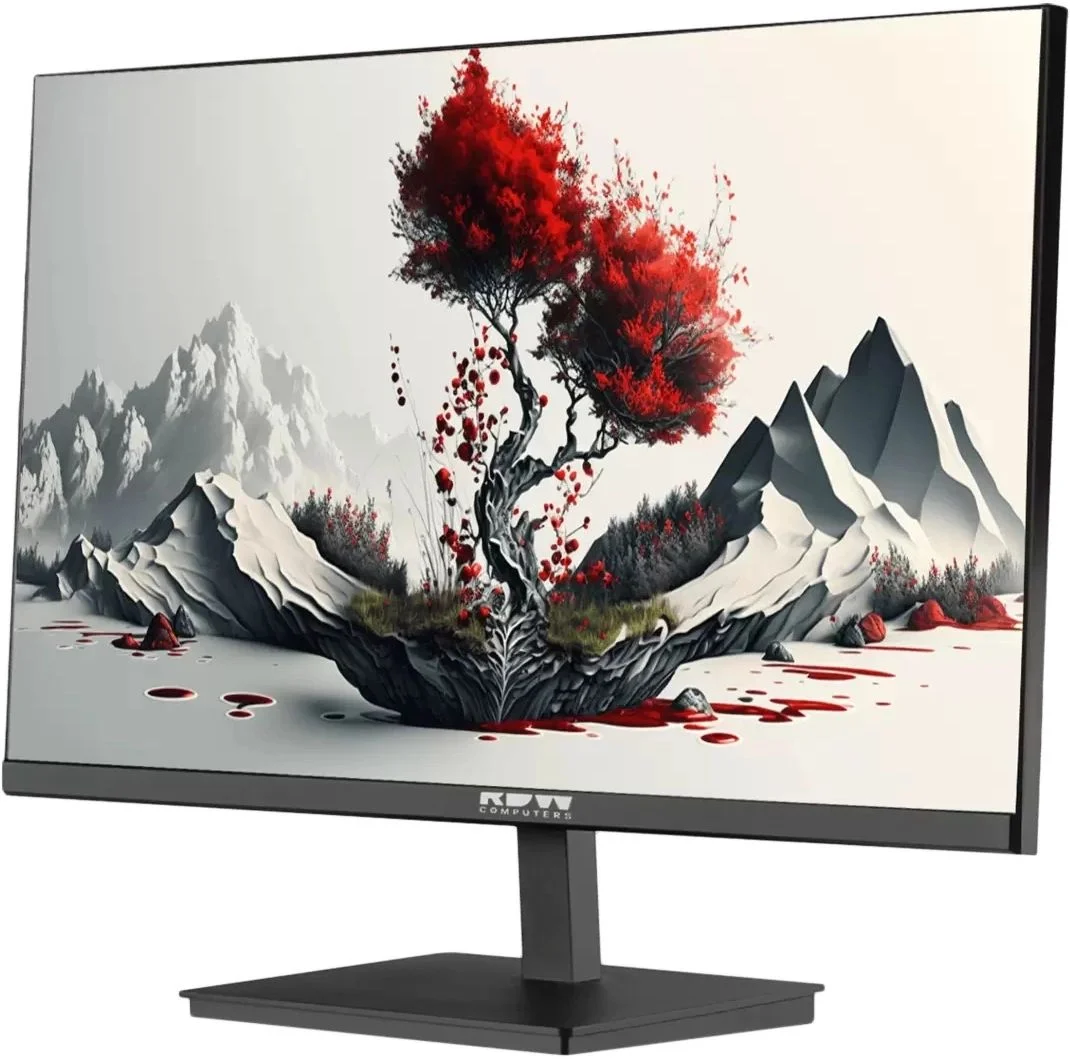 Монитор RDW Computers 23.8" RDW2401K черный IPS 4ms HDMI M/M 350cd 178гр/178гр 1920x1080 120Hz VGA DP FHD USB (RUS)