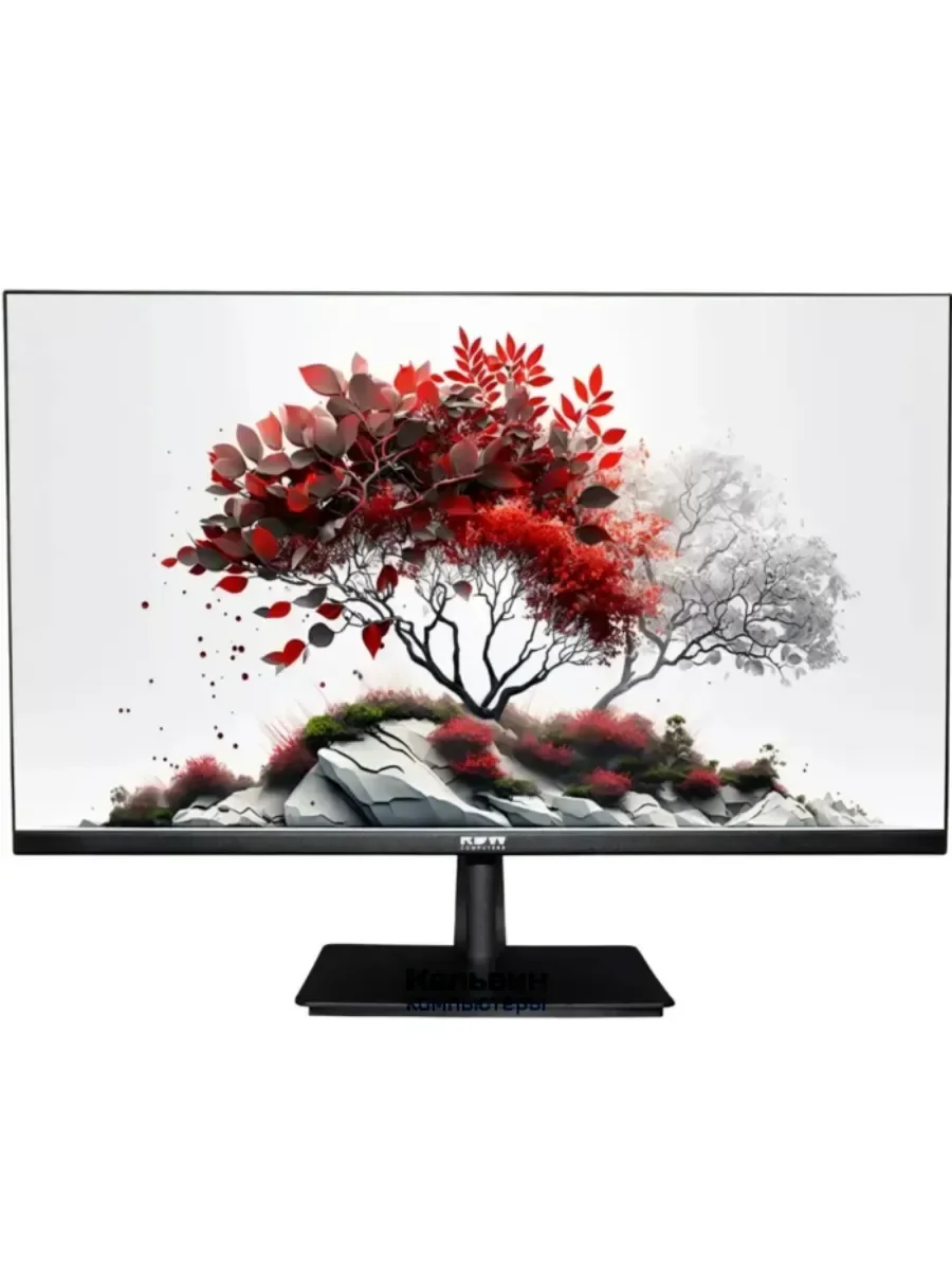 Монитор RDW Computers 27" RDW2707 черный VA 1ms HDMI M/M HAS Piv 350cd 178гр/178гр 2560x1440 100Hz VGA QHD USB (RUS)