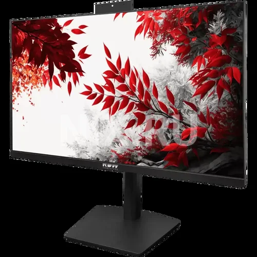 Монитор RDW Computers 31.5" RDW3207 черный IPS 1ms HDMI M/M HAS Piv 350cd 178гр/178гр 2560x1440 100Hz VGA DP QHD USB (RUS)