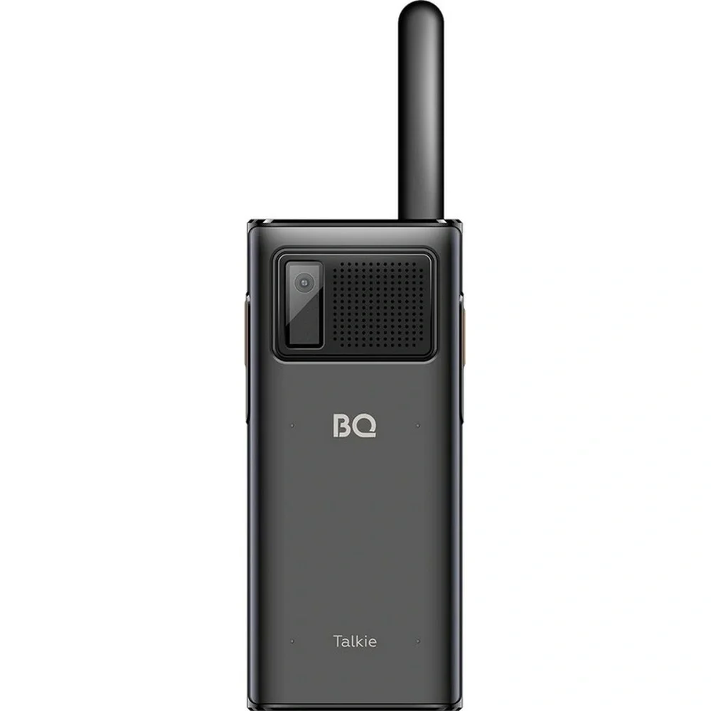 Мобильный телефон BQ 2010 Talkie черный