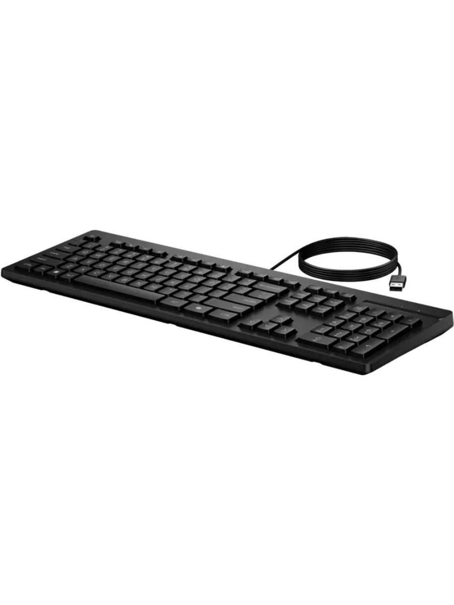 Клавиатура проводная HP 125 проводная, USB Type-A, чёрный