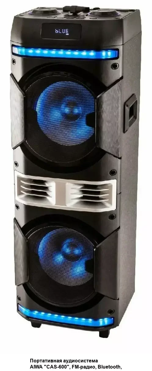 Портативная аудиосистема AIWA PAS-Y600 черный 30Вт, диапазон 40Гц-18КГц аккум 7,4В/3600мАч 10х10х10