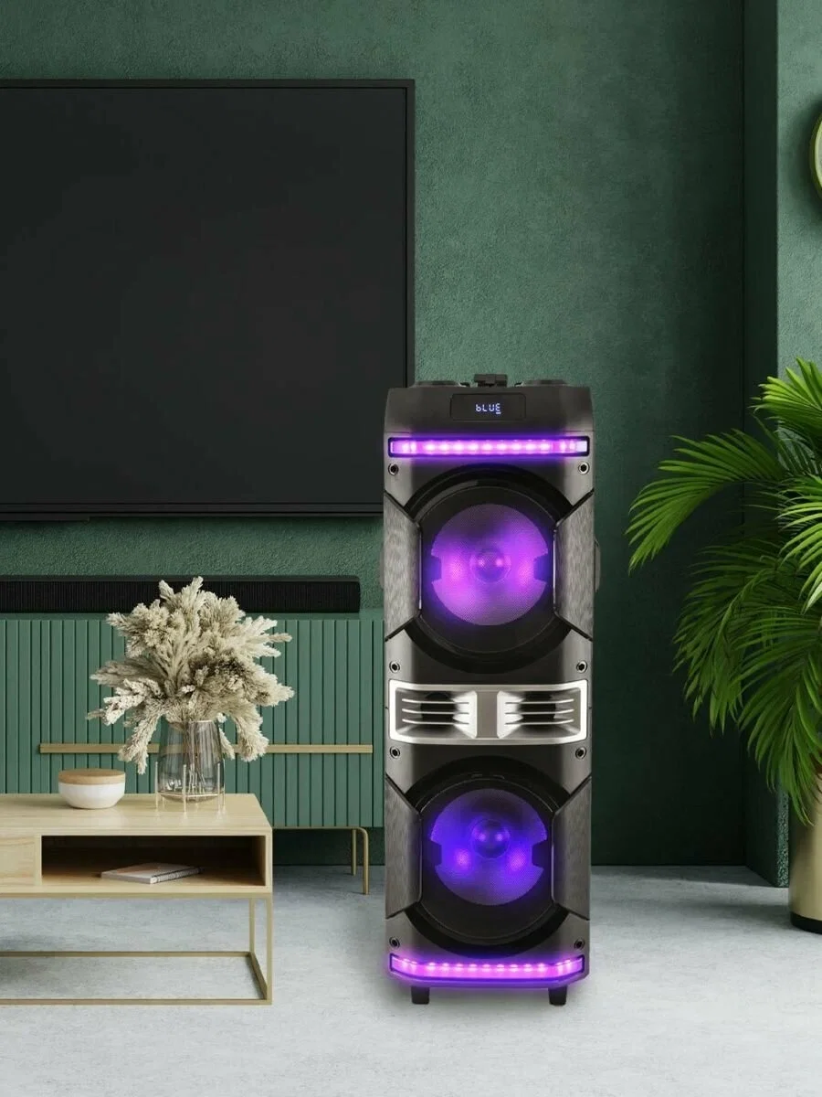Портативная аудиосистема AIWA PAS-Y600 черный 30Вт, диапазон 40Гц-18КГц аккум 7,4В/3600мАч 10х10х10