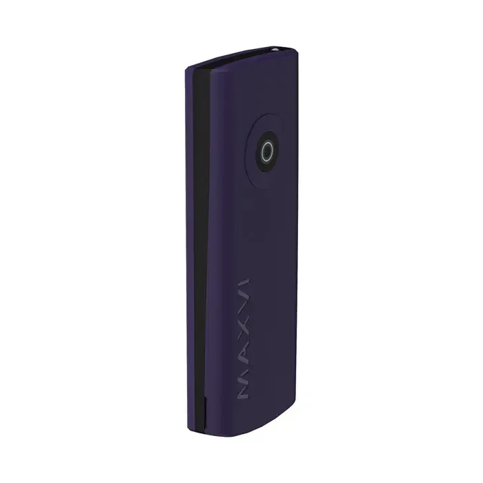 Мобильный телефон Maxvi C40 синий