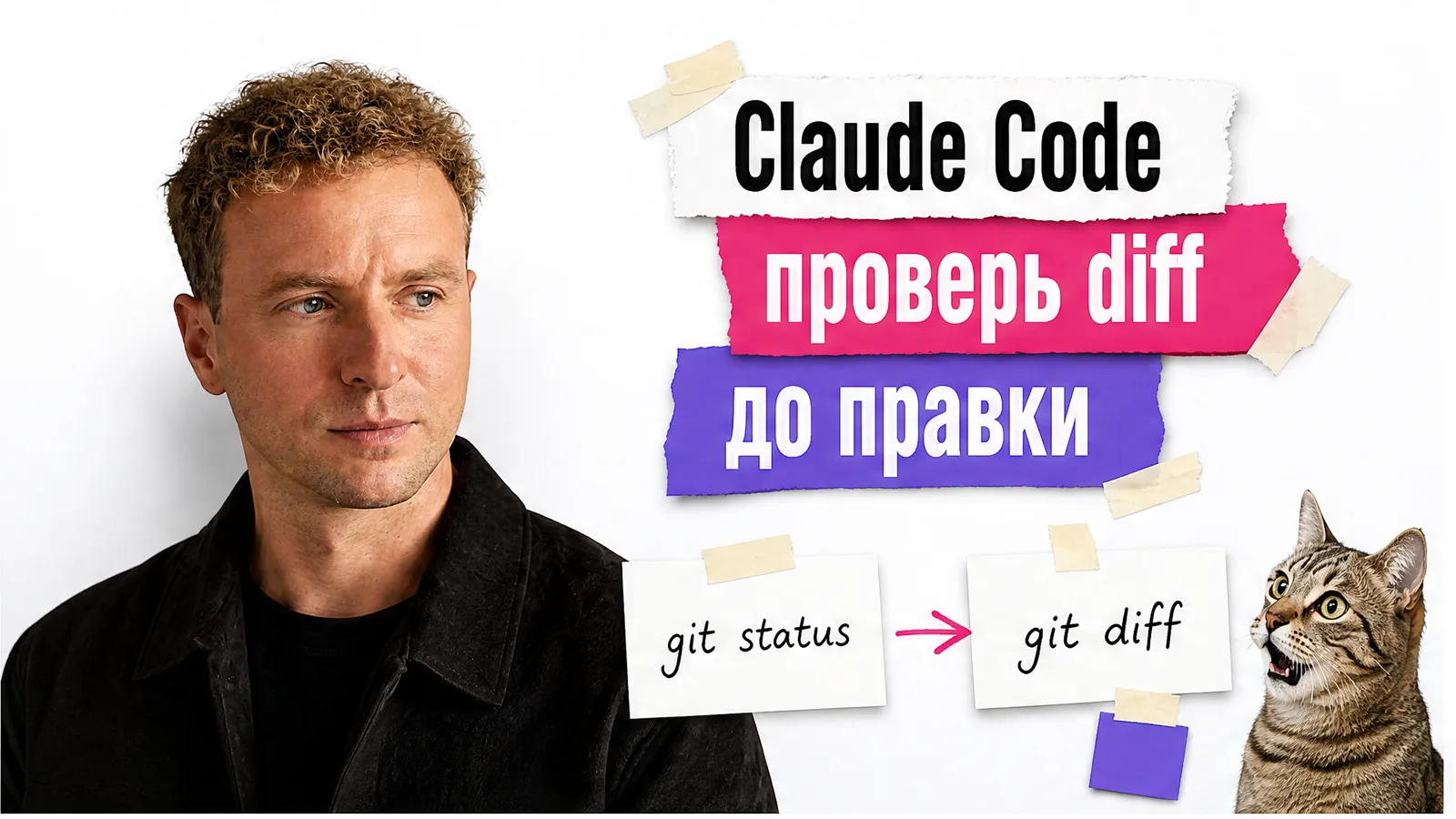 Автор по приложенному фото показывает план и diff, рядом кот тревожно смотрит на карточки.