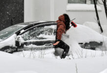 Базовый набор для подготовки автомобиля к зимнему сезону 2024 0f8b3fc0-6c40-4910-bb7a-84504a7dd83a-67928549