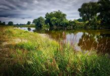 Необычное происшествие на лодке в Свердловской области 3b3e2b98-a3ef-4ea9-8070-116dacbeacfd-674ba16e